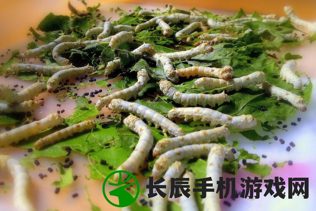 家庭教师手游690，游戏深度解析与常见问题解答