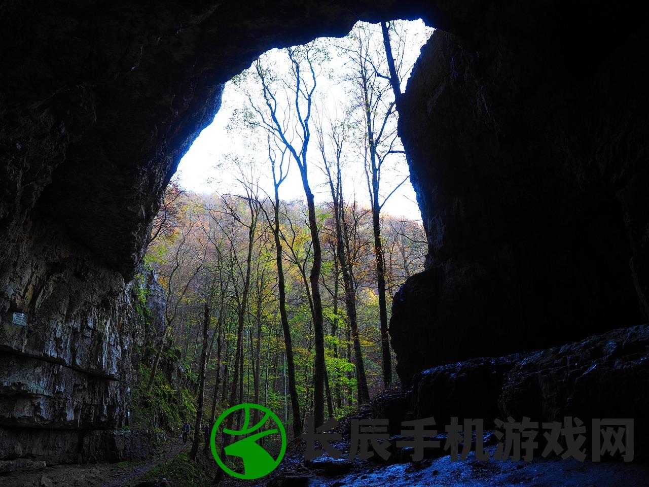 (飞马流云的寓意)飞马流星，神秘词汇背后的含义与象征