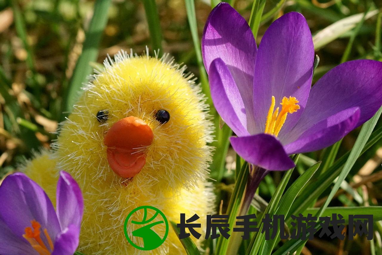 (西域风云免费阅读全文最新章节)西域风云，历史与传奇的免费阅读之旅