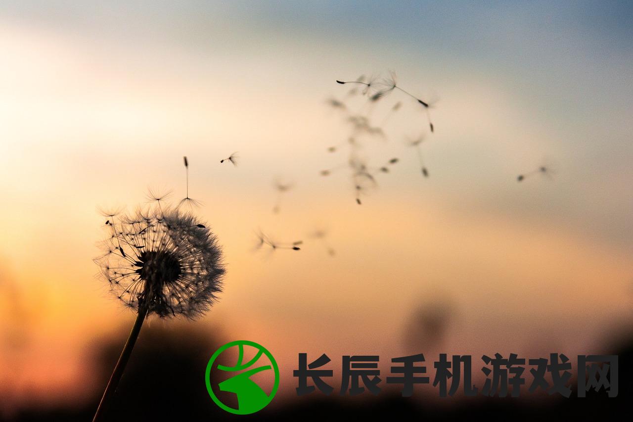(提灯与地下城密令一览)提灯与地下城密令，深入探索游戏的奥秘