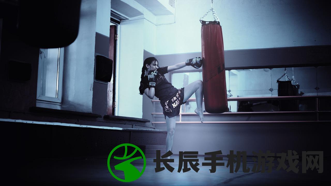 (西域风云免费阅读全文最新章节)西域风云，历史与传奇的免费阅读之旅