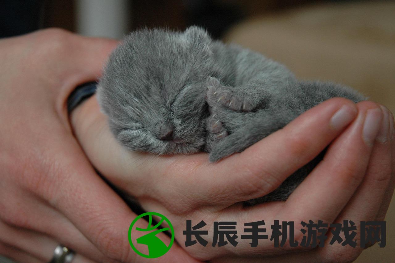 (一号军团手游下载)一号军团满V版风暴召唤师，游戏新纪元