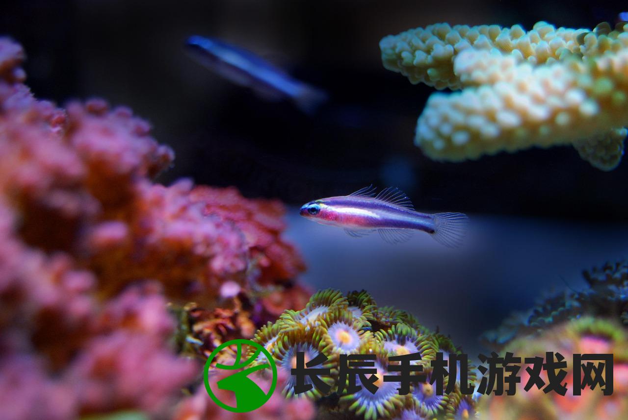 (水族馆里100种动物名称介绍)水族馆里的奇妙世界，一百种动物探秘
