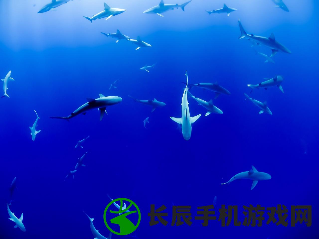 (水族馆里100种动物名称介绍)水族馆里的奇妙世界，一百种动物探秘