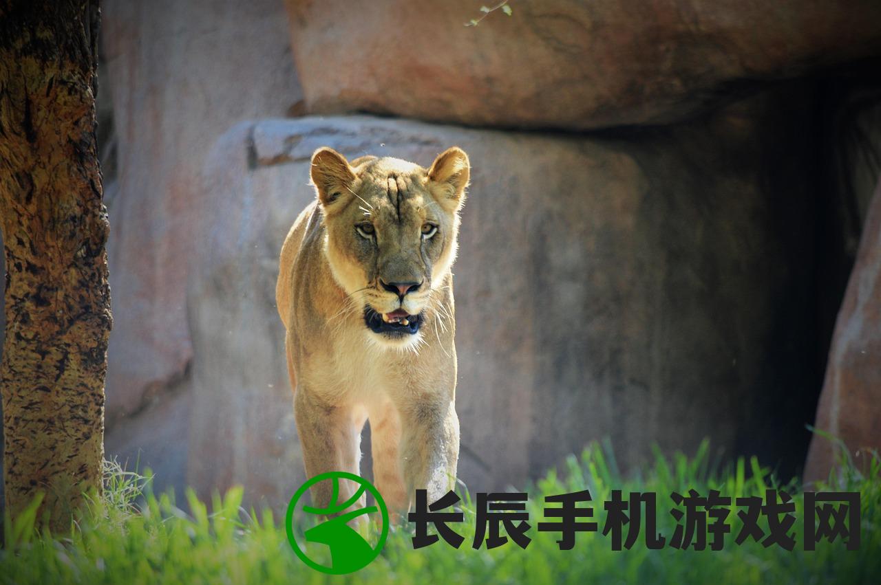 (梦幻动物园什么时候正式上线)梦幻动物园的地理位置及特色介绍