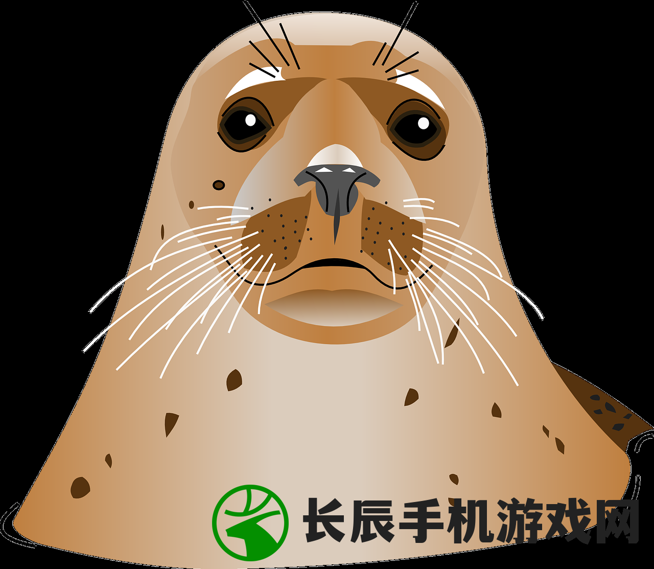 (海洋动物历险记《我是谁》故事内容)海洋动物历险记，一场别开生面的探险之旅