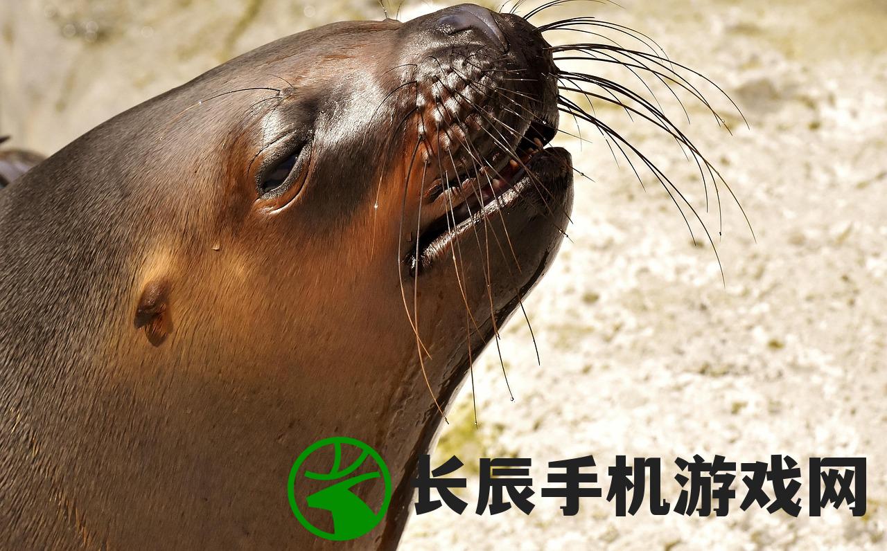 (海洋动物历险记《我是谁》故事内容)海洋动物历险记，一场别开生面的探险之旅