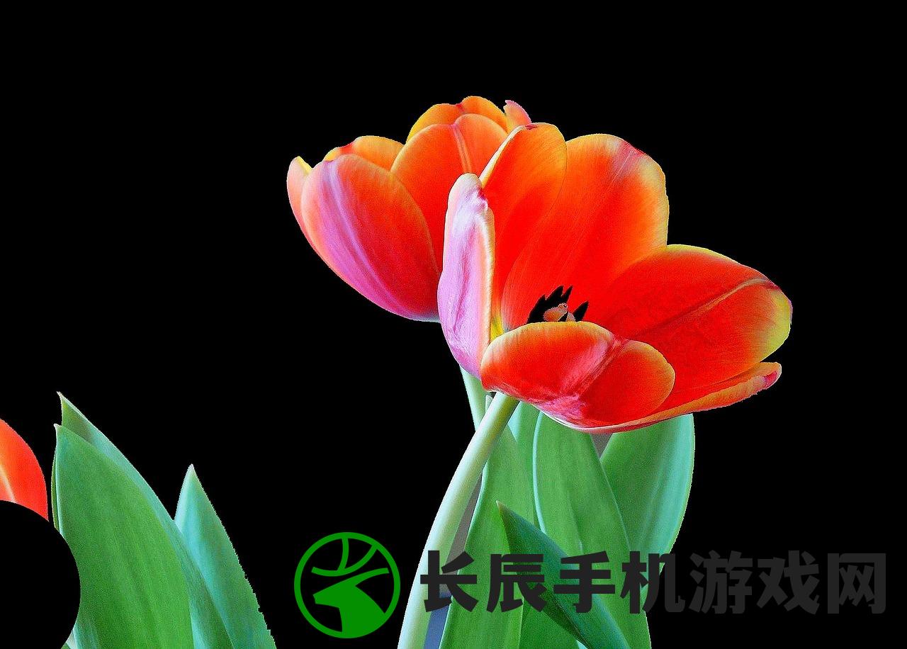(早安我的少年日服下载官方)早安我的少年，少年之心的舞动与青春启航的日服之旅