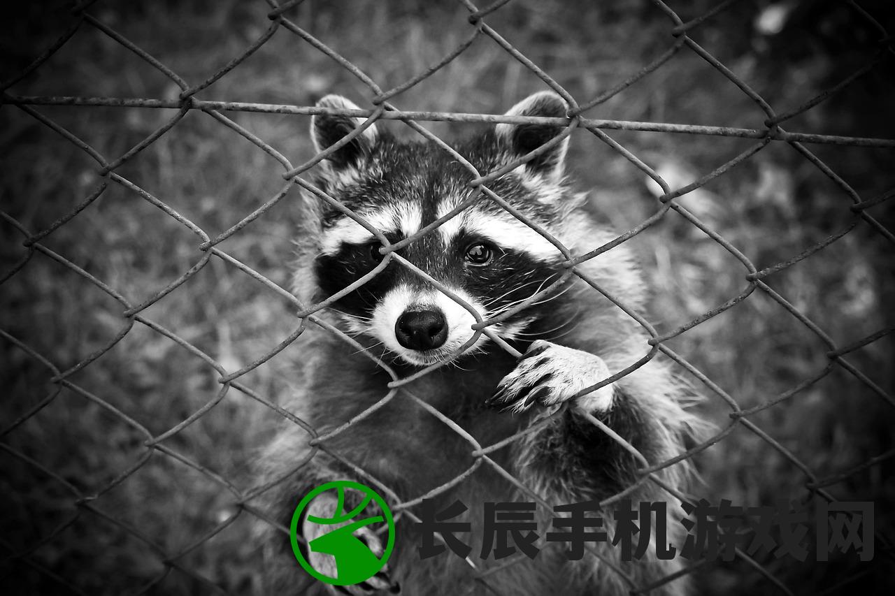 (浣熊很坏)浣熊不高兴凯涅斯，背后的故事与深层含义
