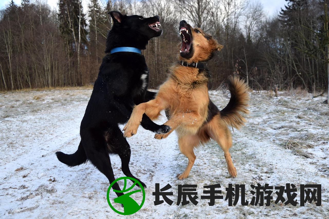 (萌宠大乱斗无限内购版)萌宠大乱斗，一场别开生面的宠物竞技盛宴