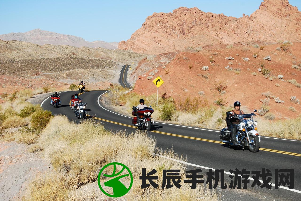 (全境警戒电影免费观看)全境警戒，国家安全的新挑战与应对策略