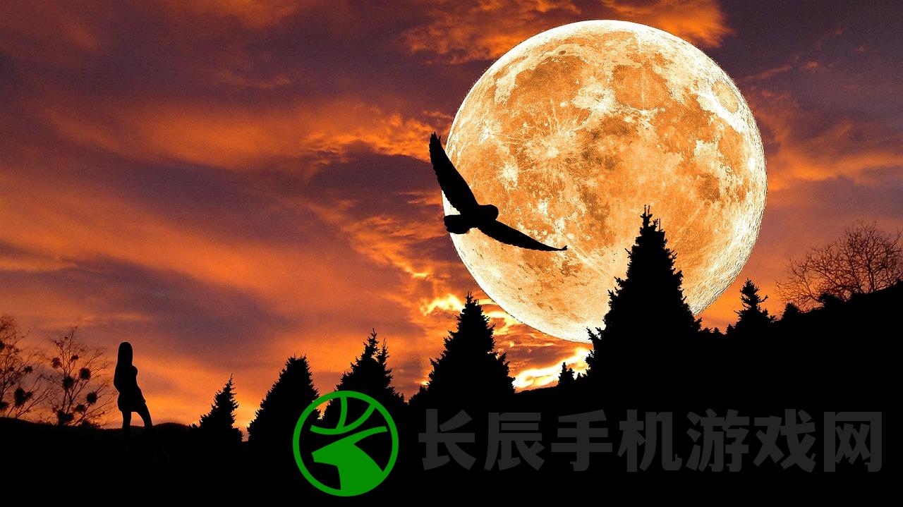(揭秘地球:最强探险家下载)揭秘地球，最强探险家的神秘旅程