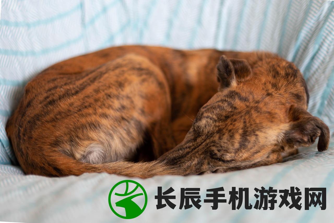 (猫 冰淇淋)猫猫狗狗冰淇淋与物品升级的创新策略指南