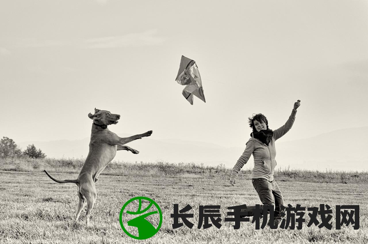 (跟我一起拆家的说说)跟我一起拆家，一场别样的家庭探险之旅