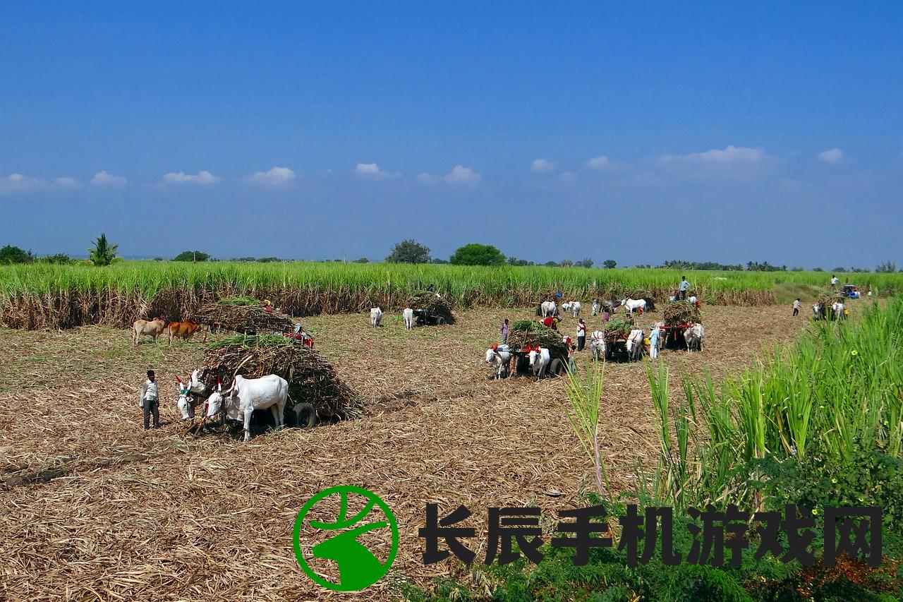 (虞陆平简介)虞花陆鸣泽免费最新章节更新，精彩内容一网打尽！